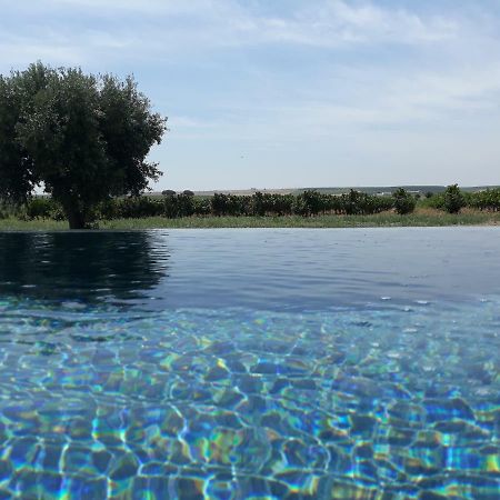 Terras - Agroturismo & Vinhos Beja Exterior photo